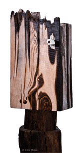 Irène Philips - THE STARDER - Polychromed wood, 180 cm
